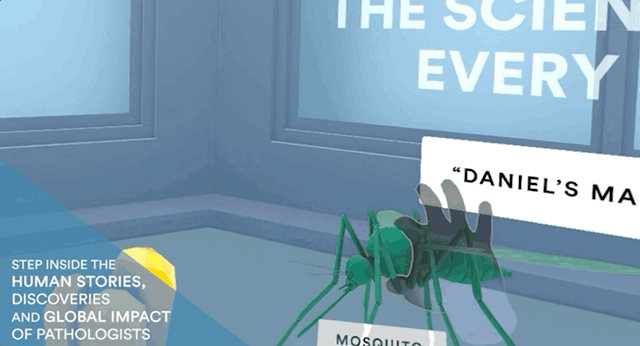 Pathways of Impact: Inspiring Future Pathologists Through Virtual Reality